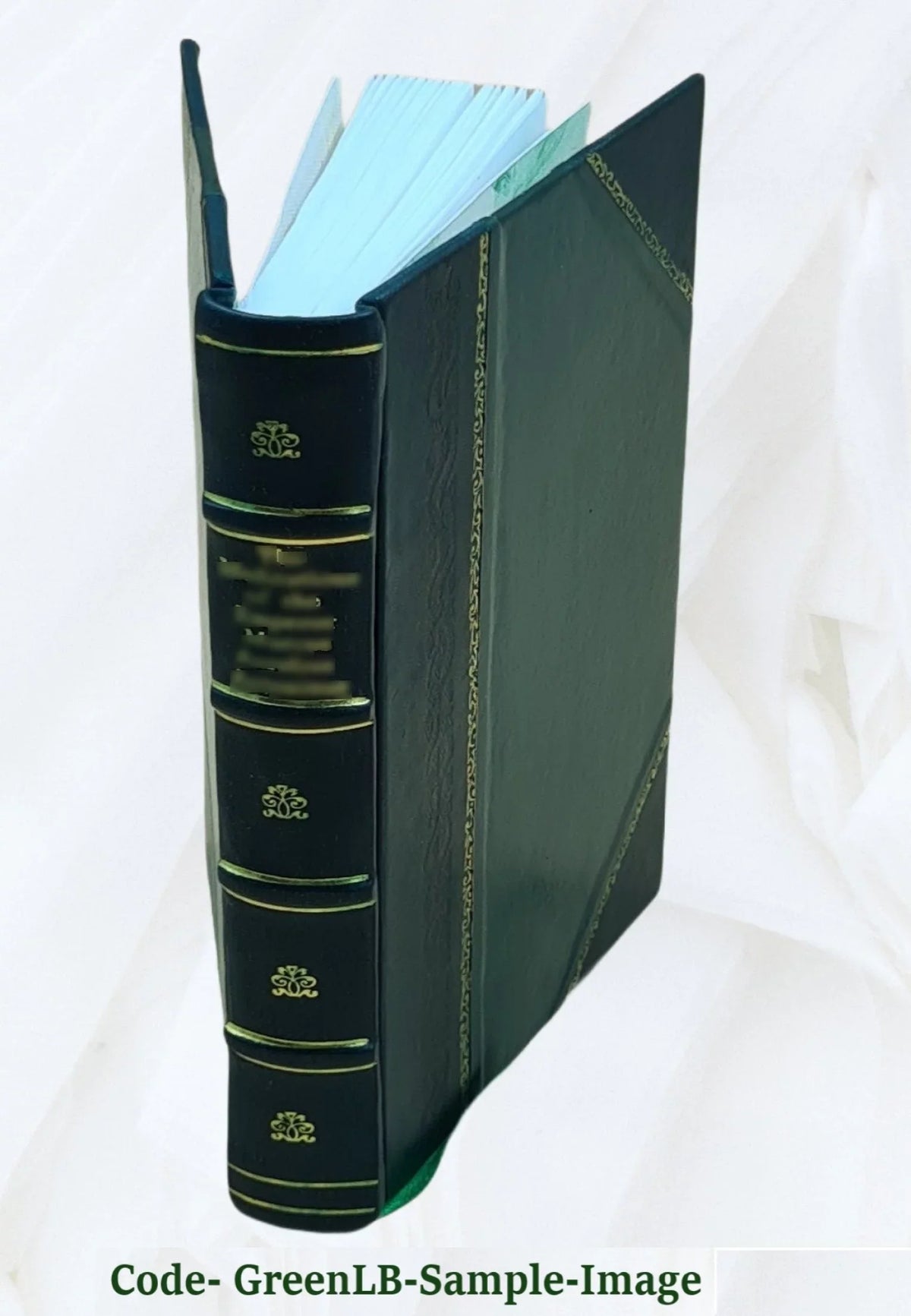 The life and times of Sir Peter Carew, kt., (from the original manuscript,) with a historical introd. and elucidatory notes, by John Maclean. 1857 [Leather Bound]
