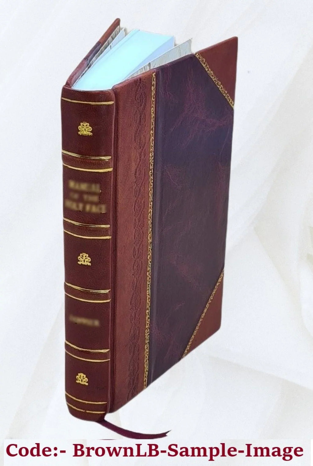 The life and times of Sir Peter Carew, kt., (from the original manuscript,) with a historical introd. and elucidatory notes, by John Maclean. 1857 [Leather Bound]